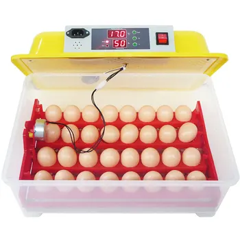 Одобрен CE автоматичен инкубатор за яйца живот на 8-10 години WQ-32